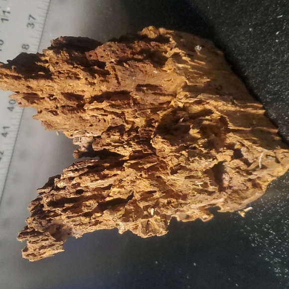 Awesome destroyed holey wood for resin projects, arts & crafts, decor, etc - Picture 9 of 9